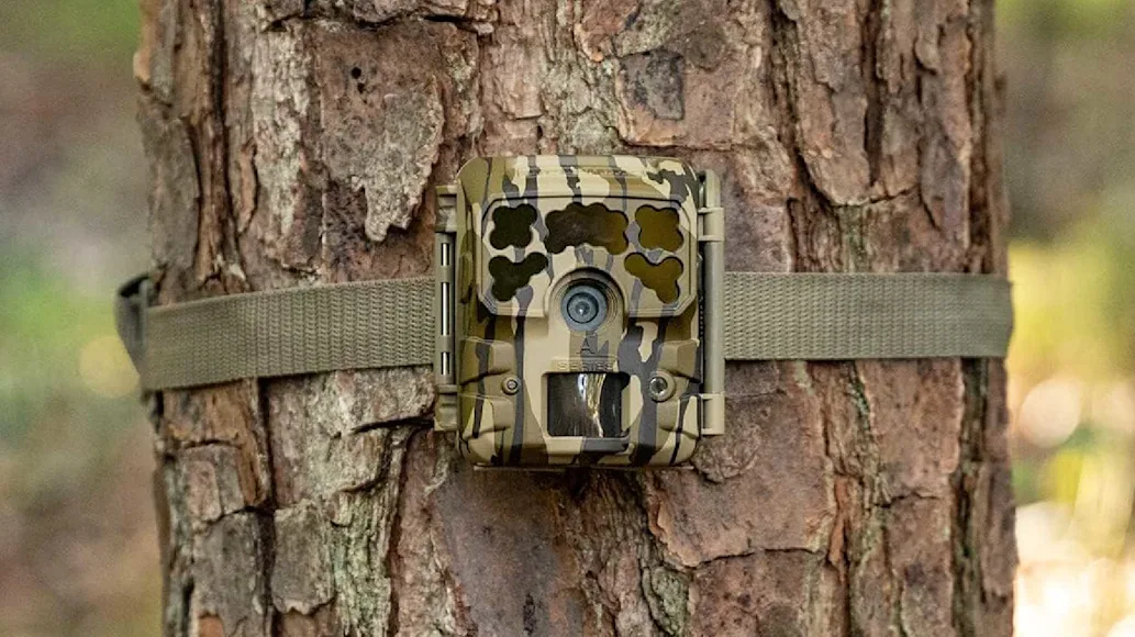 Moultrie Micro-42i Trail Camera mounted on tree