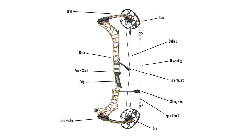 Parts of a Compound Bow | Field & Stream