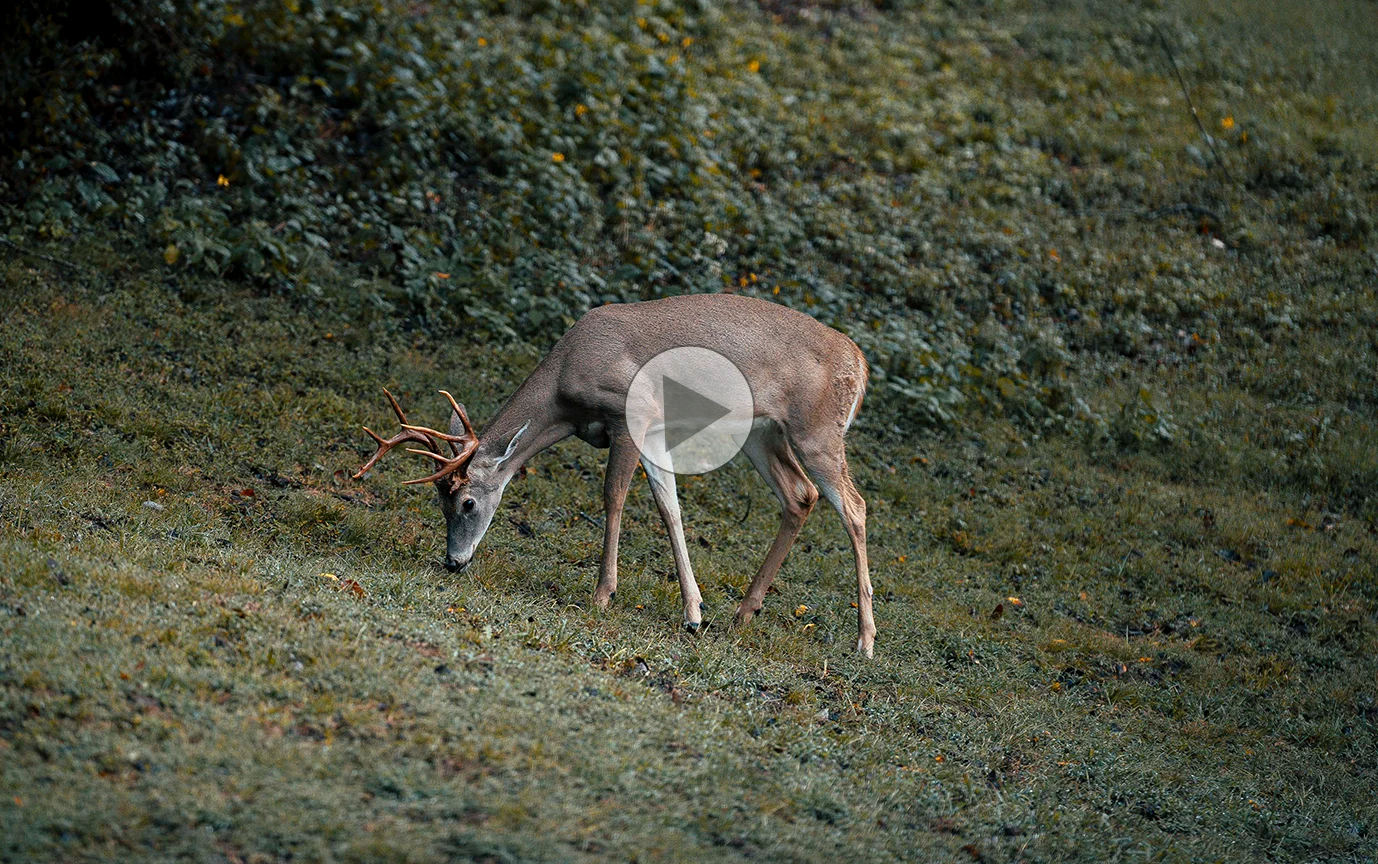 Deer camp video thumbnail