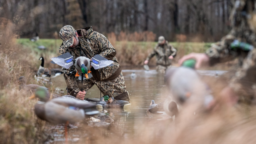 Waterfowl hunter setting up MOJO motorized duck decoy in marsh