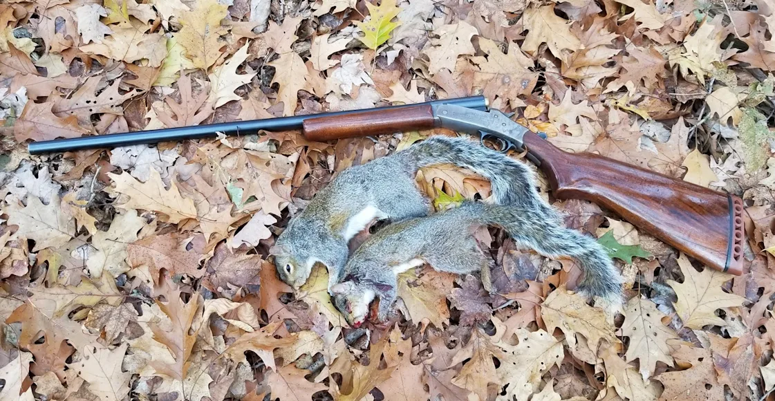Model 48, 16-gauge Topper, single-shot shotgun