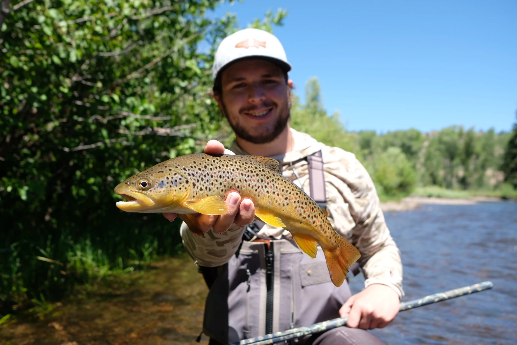 Angler holds up brown trout while kneeling in a river