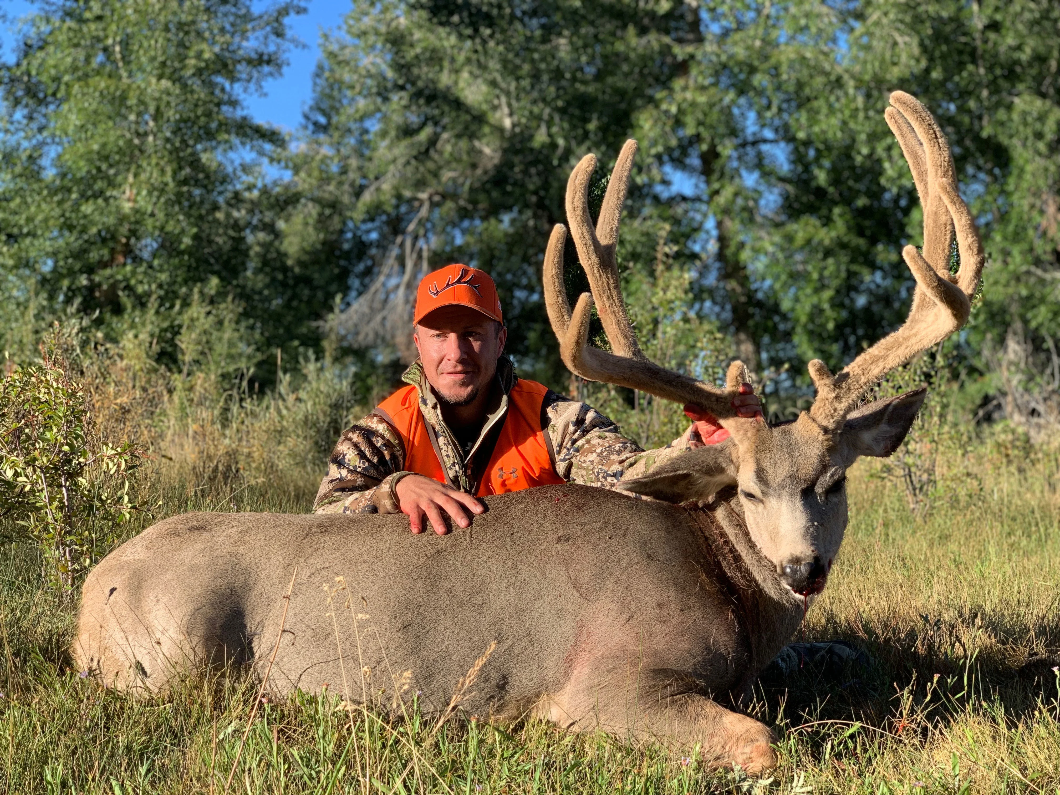 A hunter poses with a trophy mule deer in full velvet. 