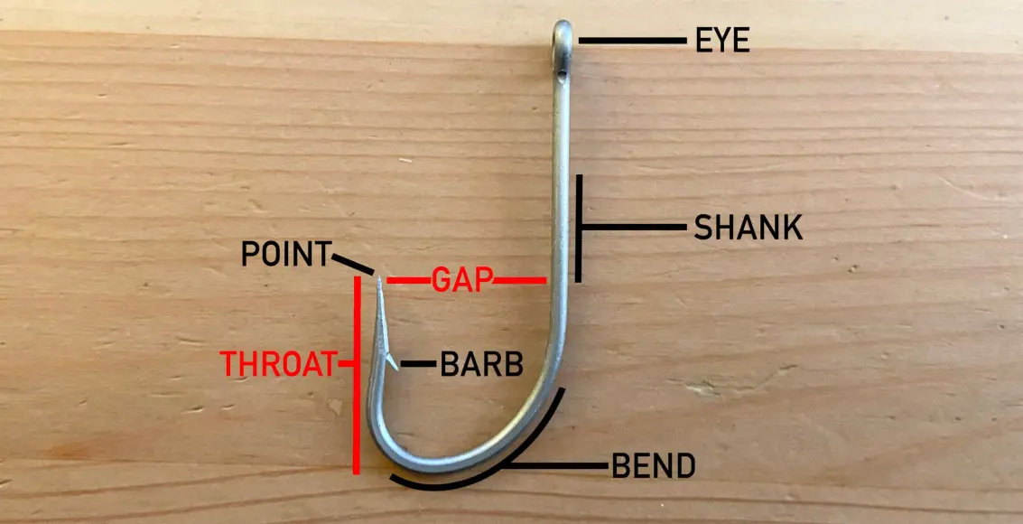 How to know what size fishing hook is best for your target species