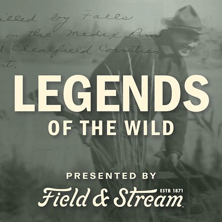 podcast image