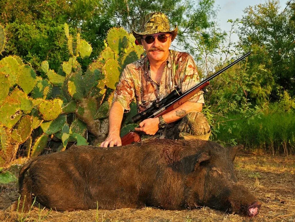 A hunter in camo, holding a winchester model 70 rifle, kneeling behind a feral hog.