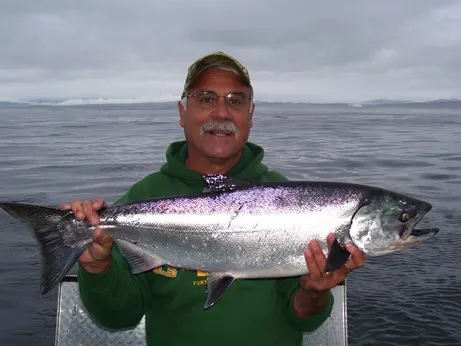An angler hoists a Chinook salmon caught near Eureka, California.