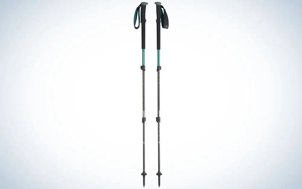 Black Diamond Trail Pro Shock Menâs are the best shock-absorbing trekking pole.