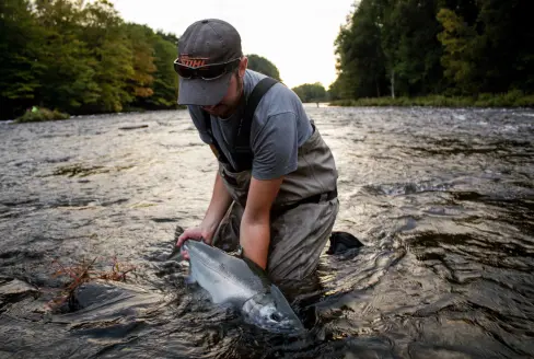 Angler with coho salmon