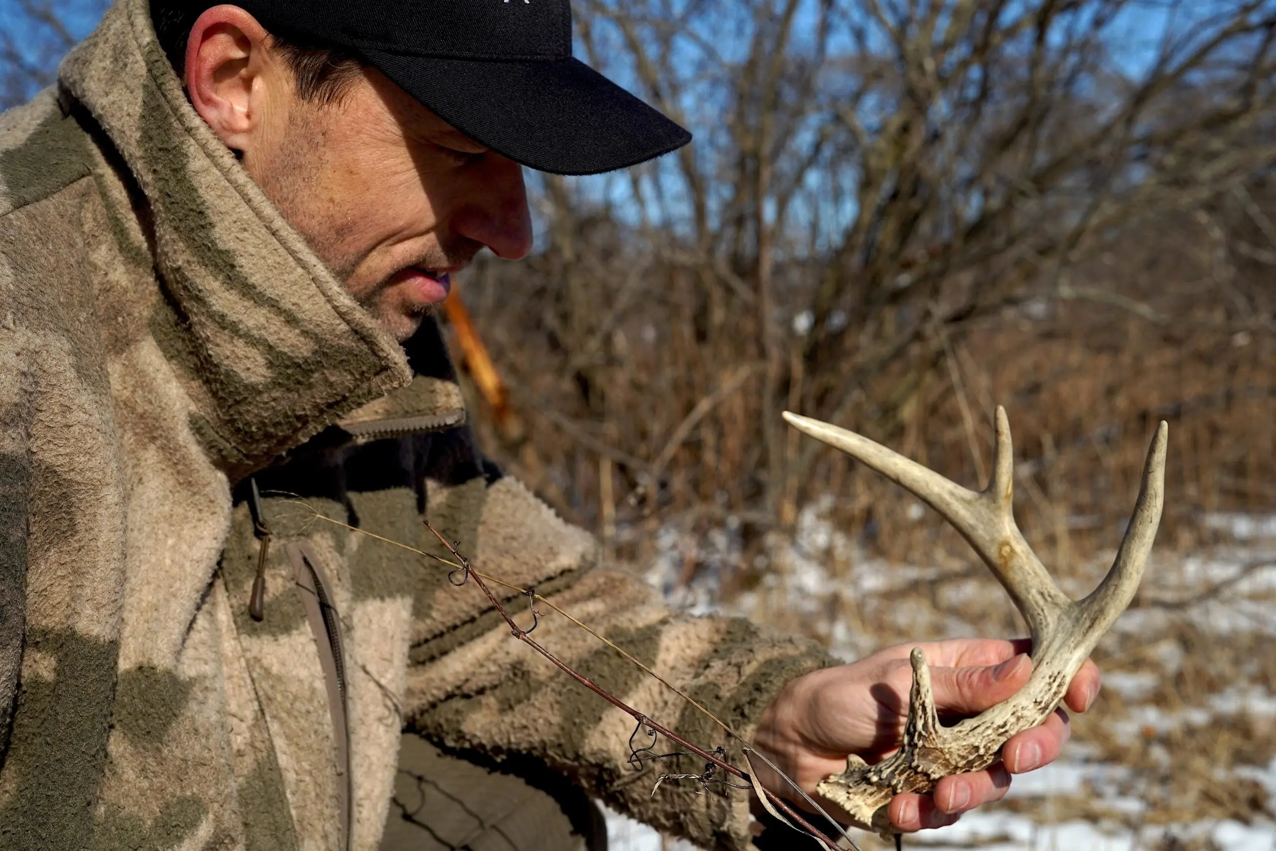 photo for when do deer shed their antlers