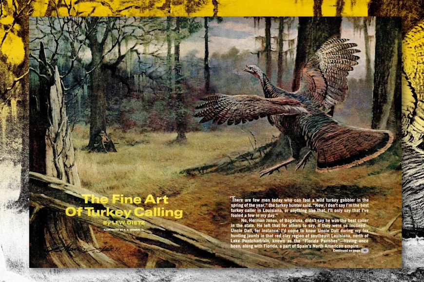 turkey calling story in field & stream