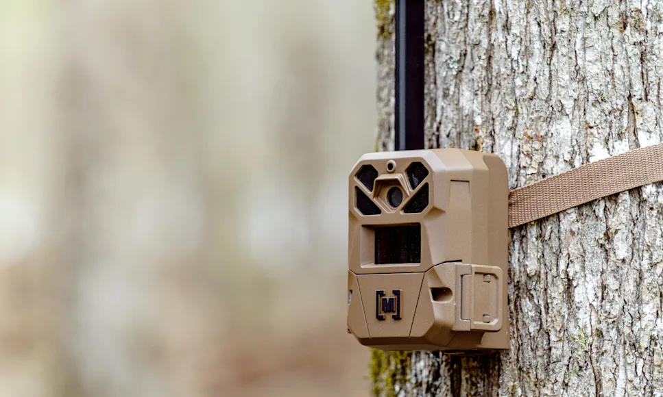 Moultrie Edge 3 Cellular Trail Camera on tree
