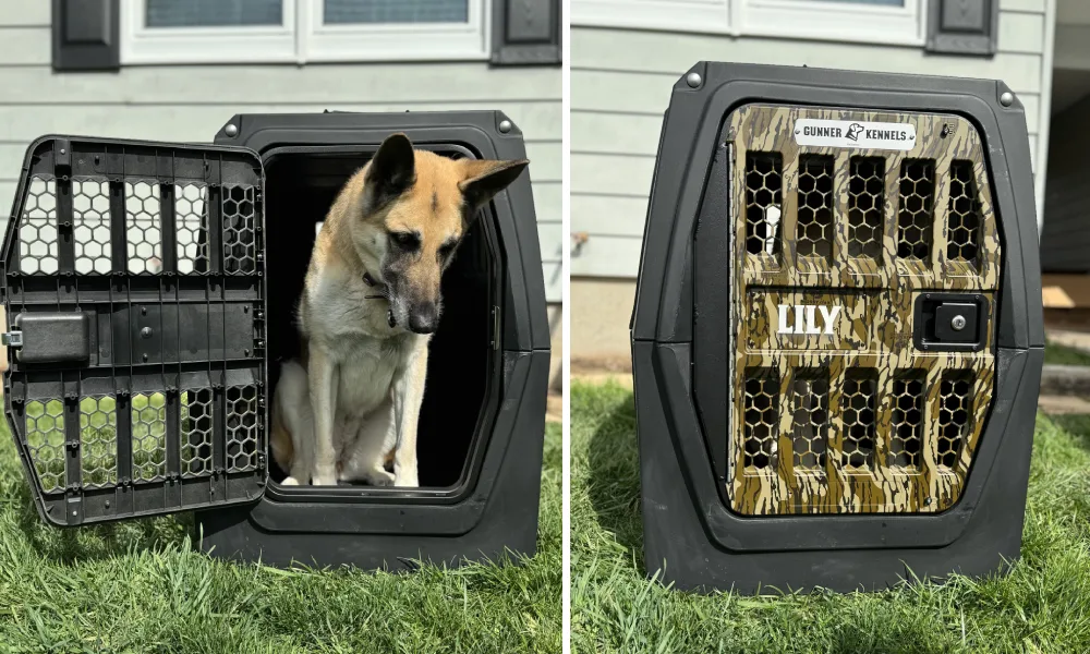 German Shepherd in Gunner G1 Kennel