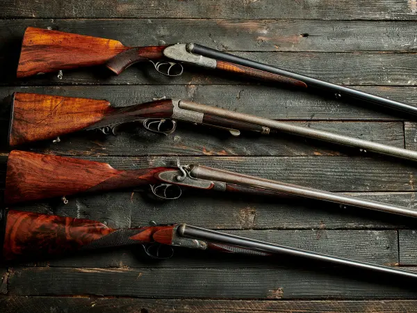 a photo of double-barrel shotguns