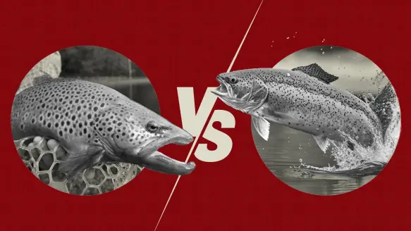 photo illustration for east versus west fly fishing