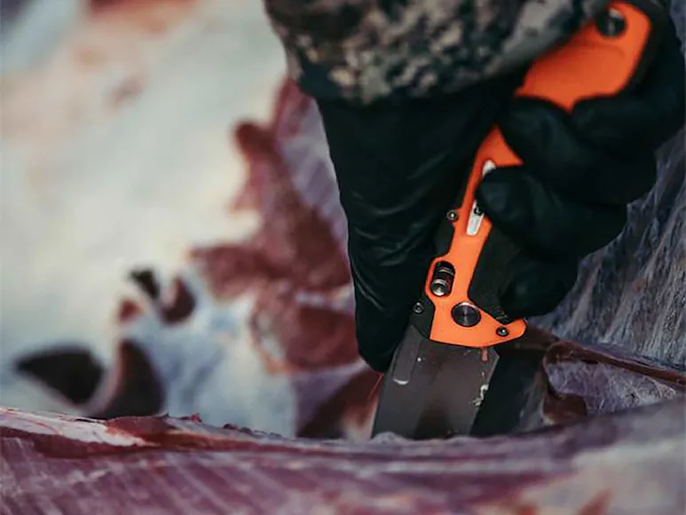 Will a Deer Spoil at 50 Degrees: Critical Facts You Need to Know