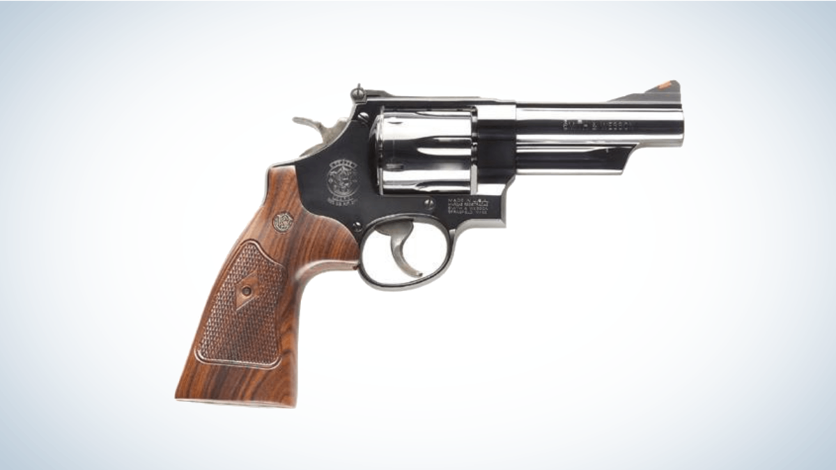 Smith &amp; Wesson Model 29