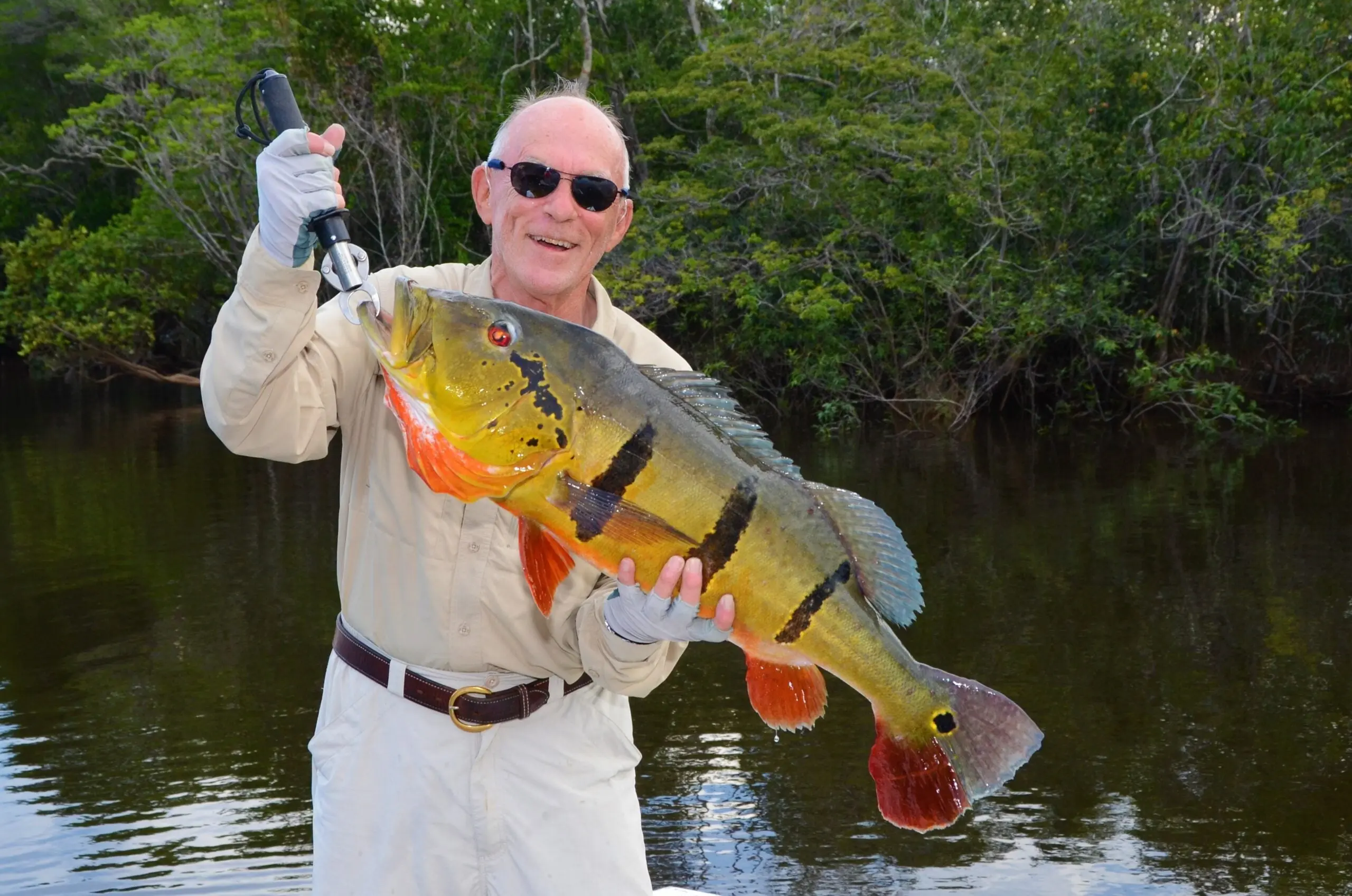 The Best Peacock Bass Lures of 2024