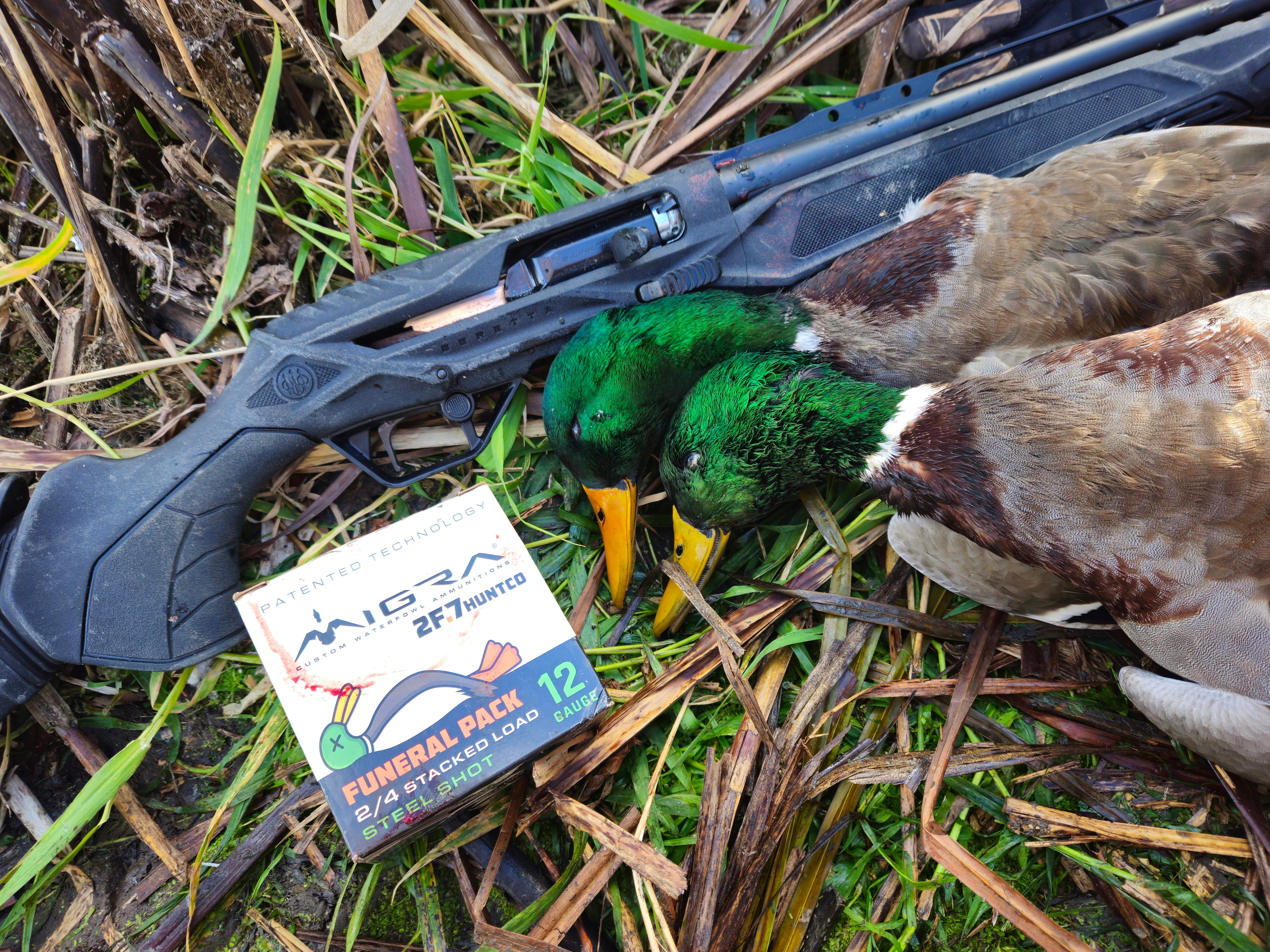 Beretta AX800 with mallards