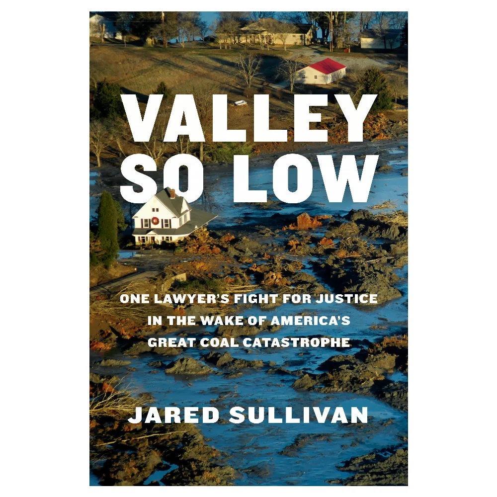 Valley So Low Book Cover