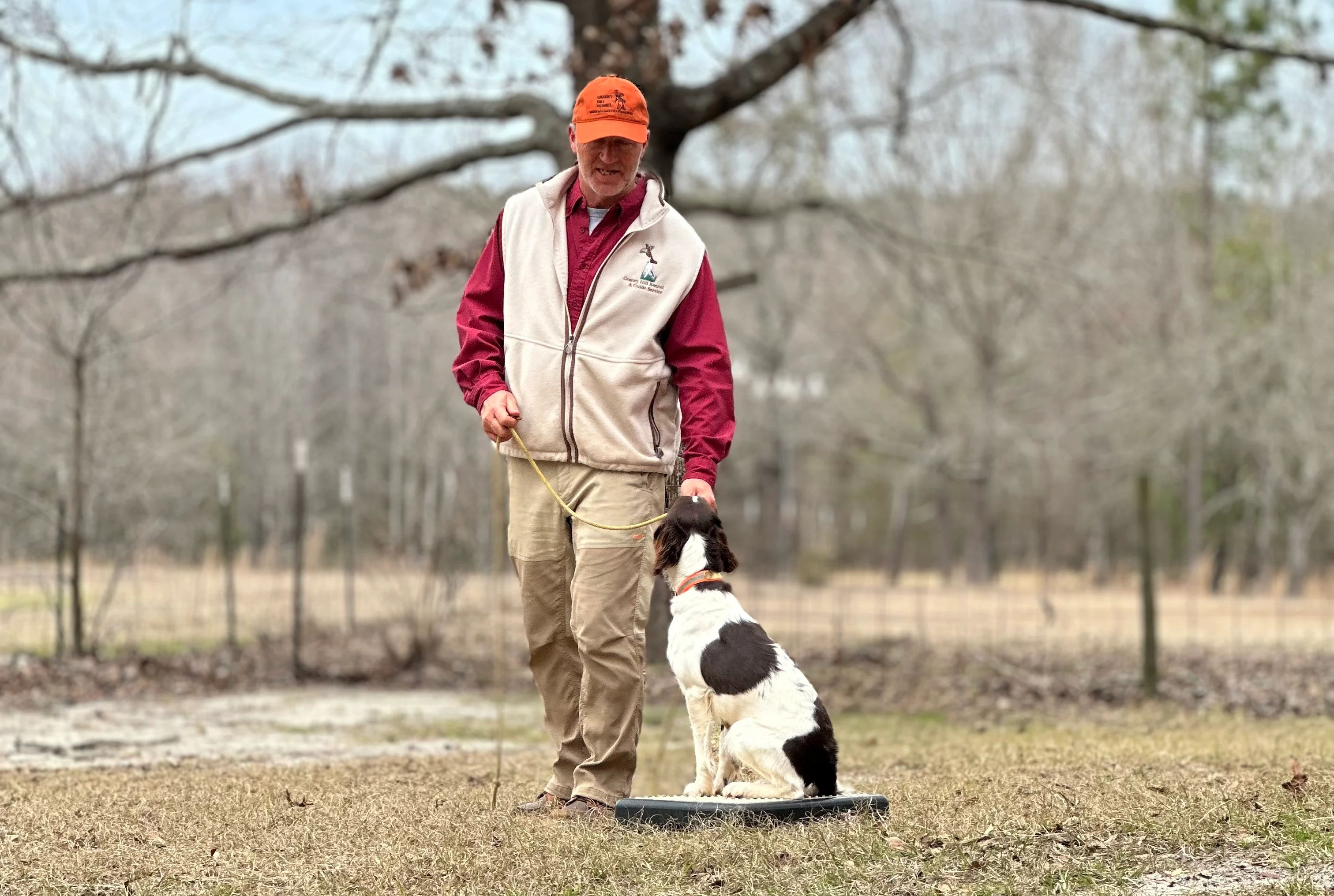 A bird dog trailer teaches a dog to sit on a pad on a lawn with woods in the background. 