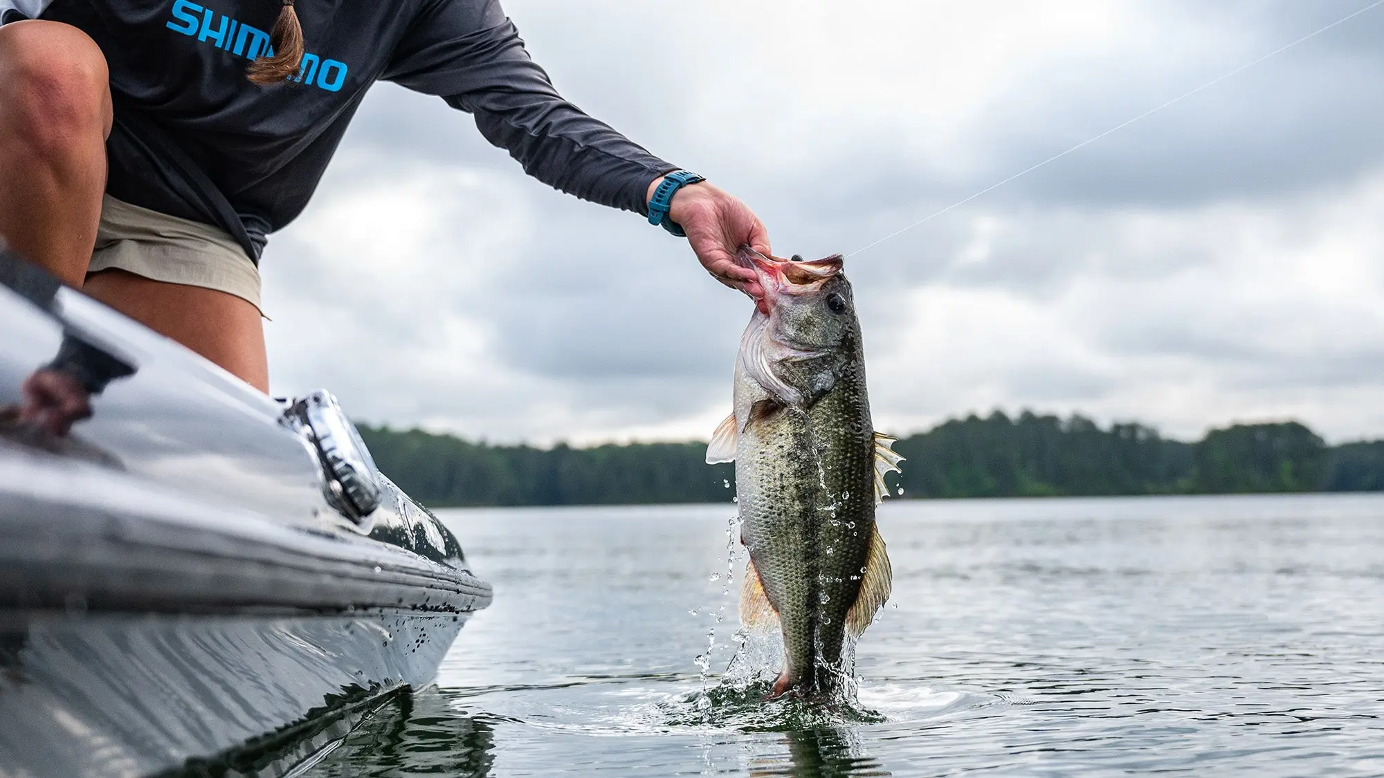 An angler lands a big largemouth bass at boatside