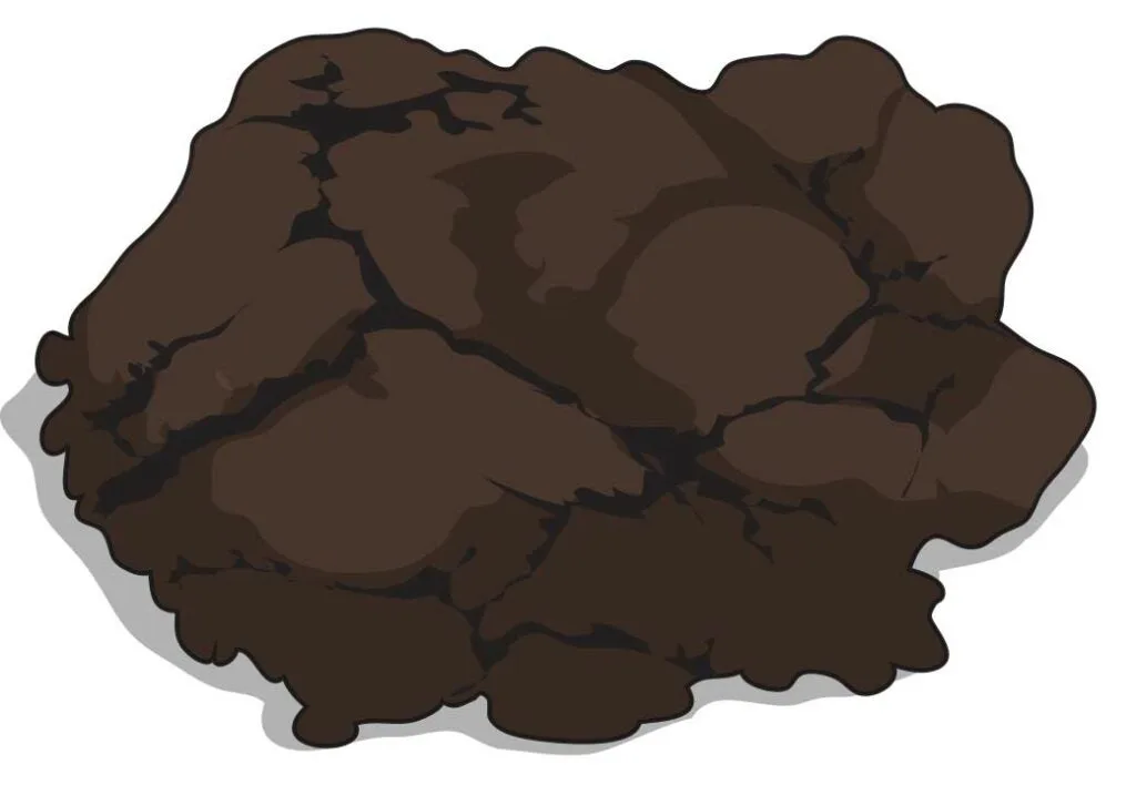 Bear poop illustration.