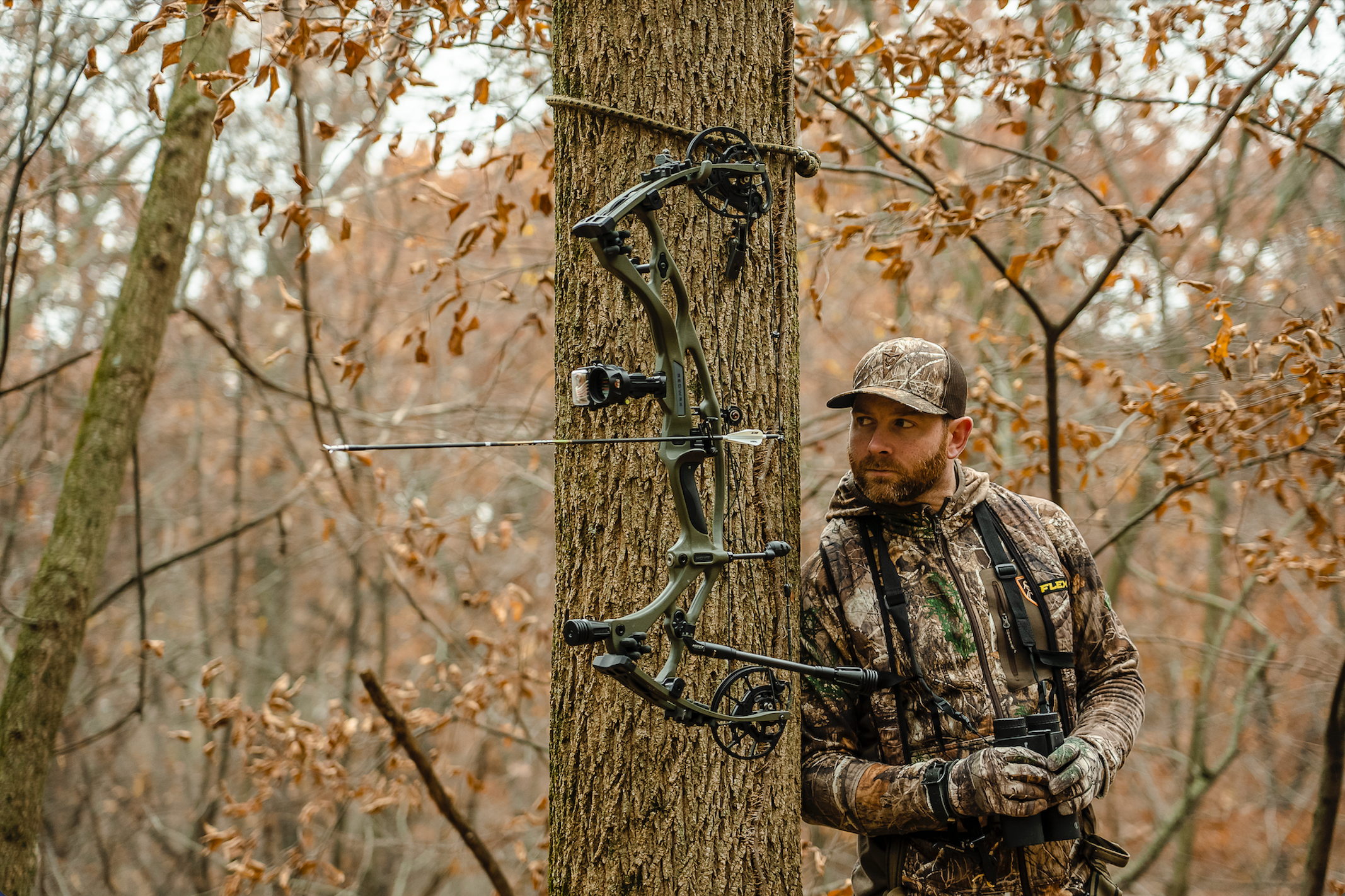 photo of Hoyt RX-7 compound bow