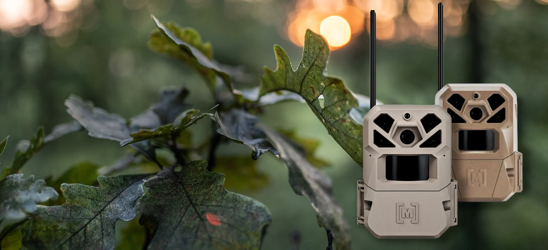 Moultrie trail cams_desktop