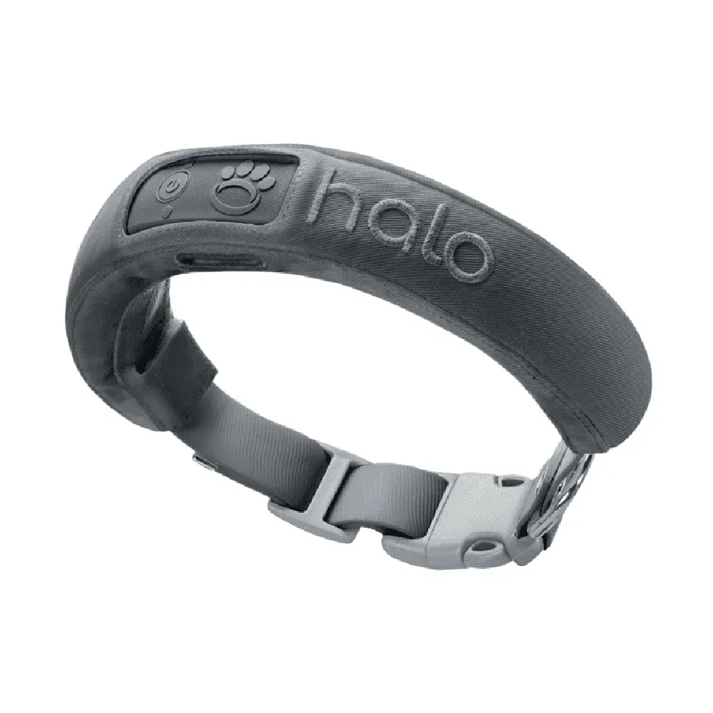 Halo Collar 3