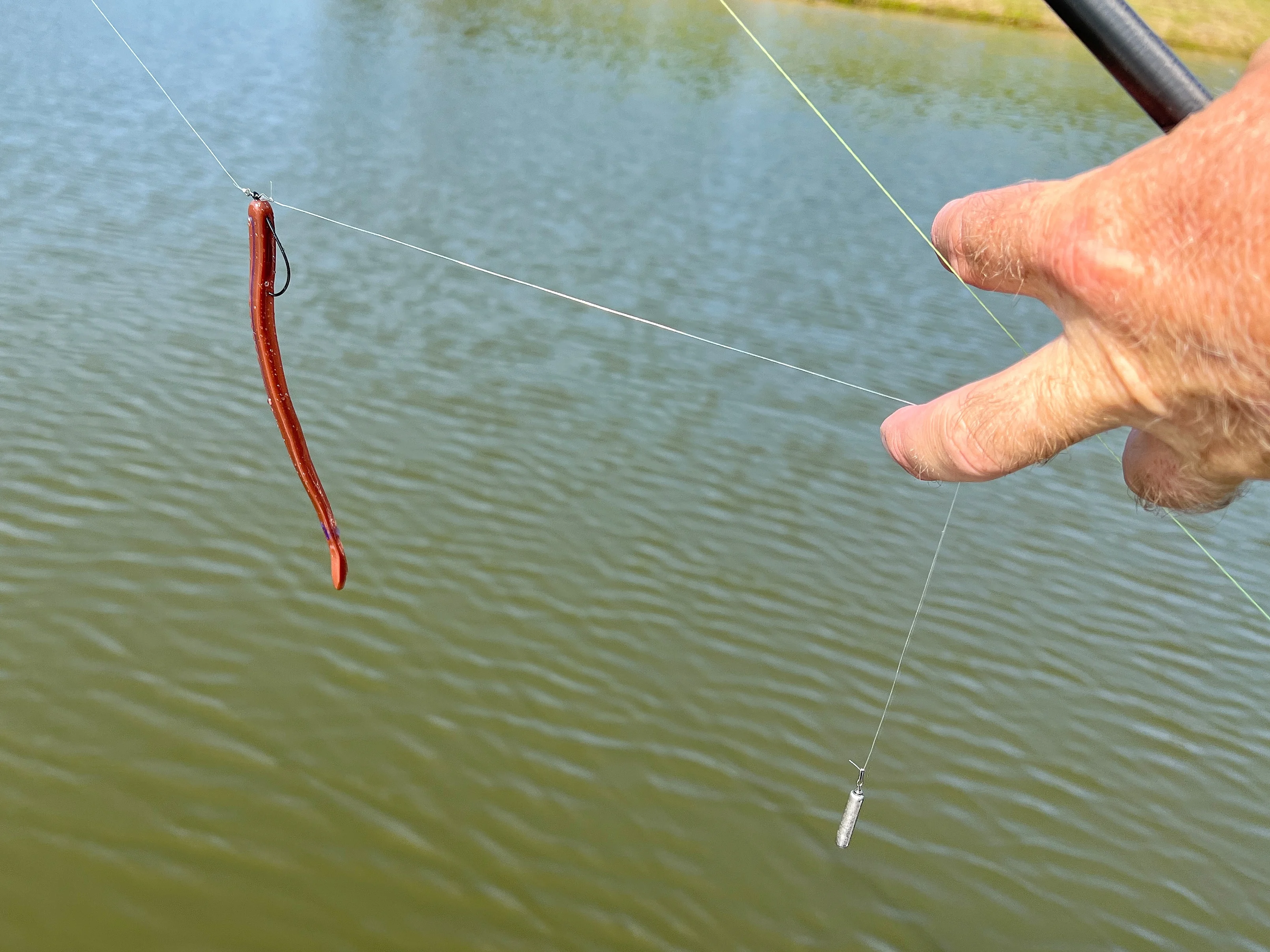 drop shot rig for bass fishing.