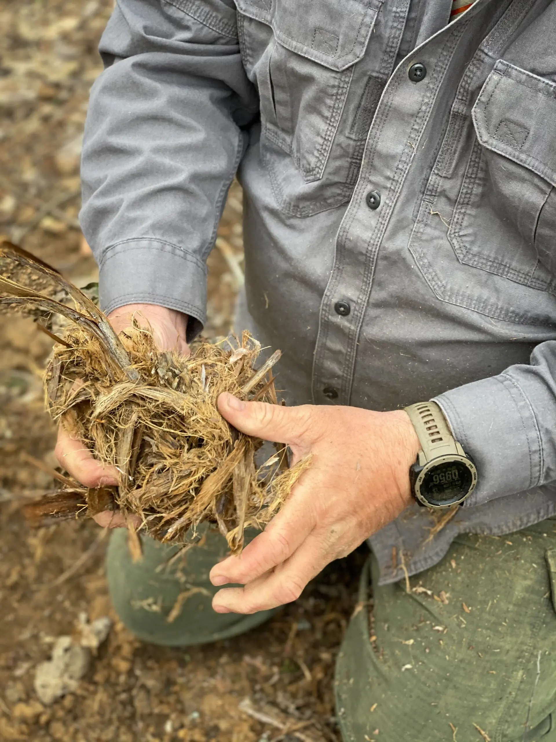 A man holds a bundle of tinder that will be used to start a campfire.