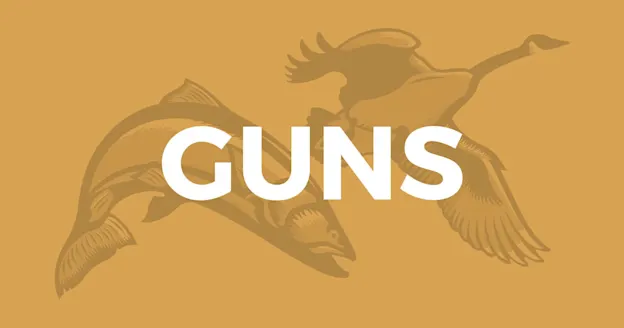 httpswww-fieldandstream-comsitesfieldandstream-comfilestroutandgooseweb05-jpg