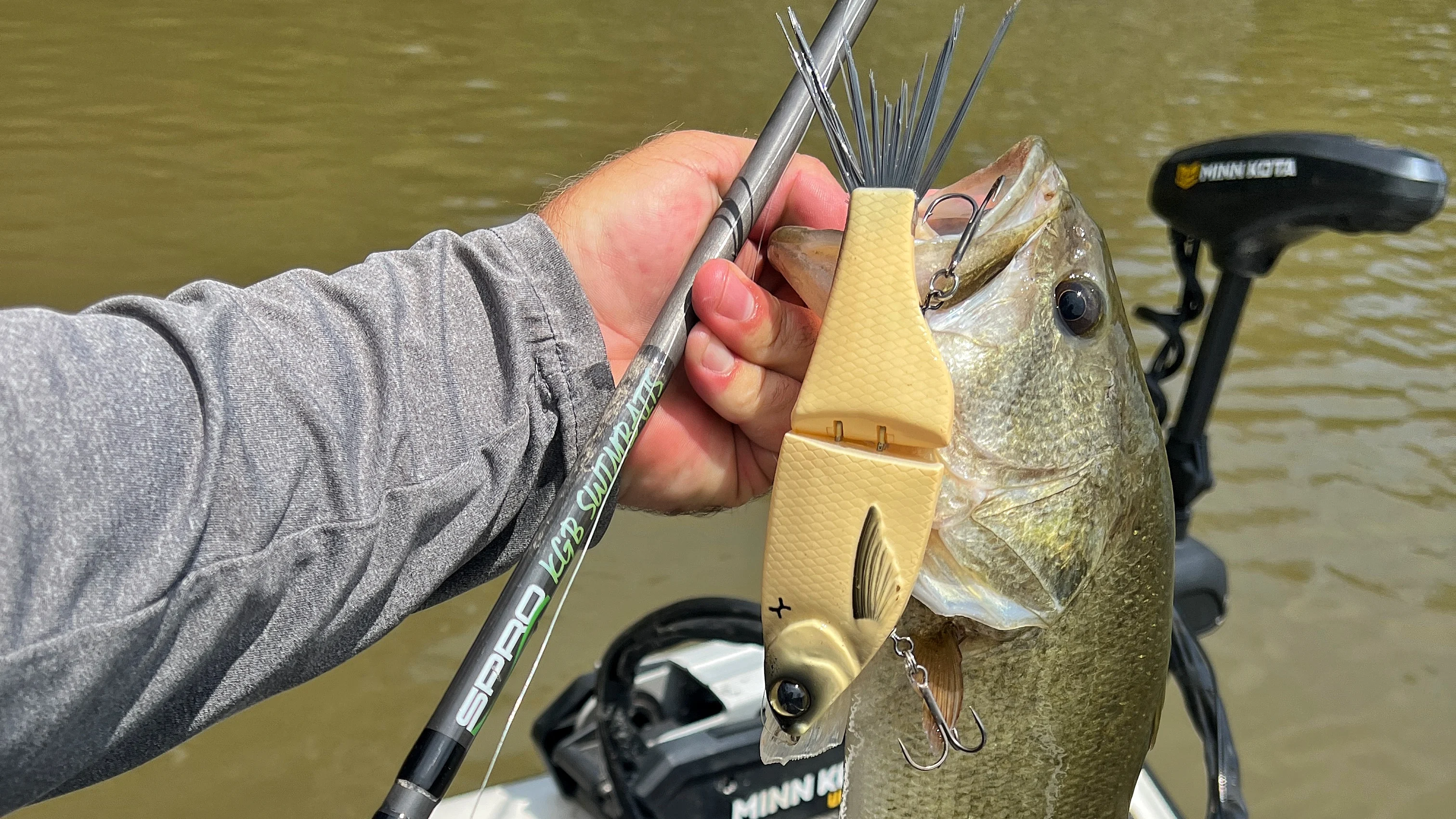 An angler holds up a bass caught with a big glide bait. 