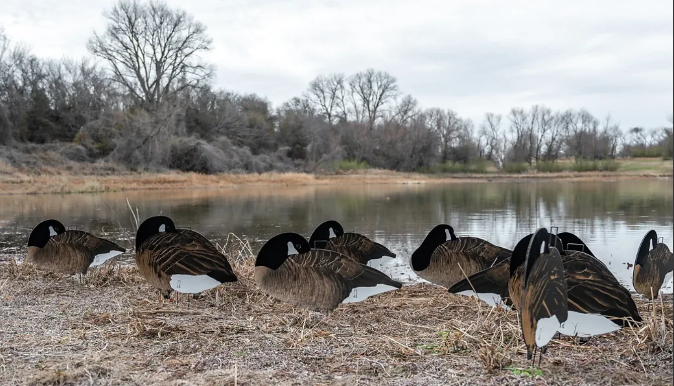 divebomb Silhouette decoys