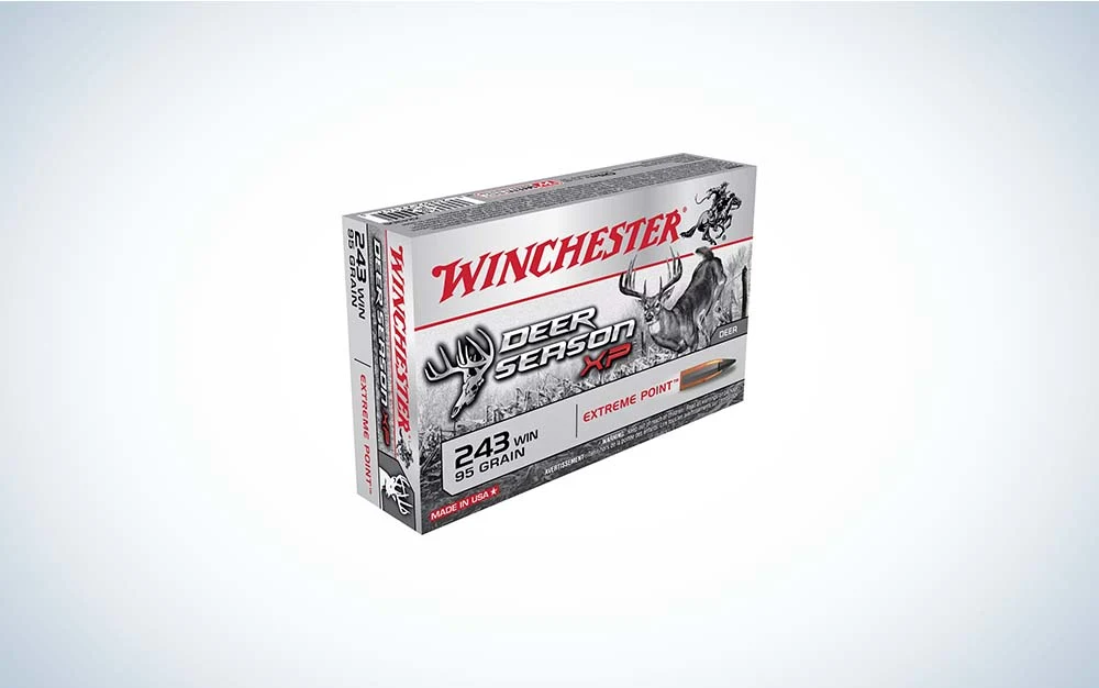 .243 Winchester rifle ammo, best varmint cartridges