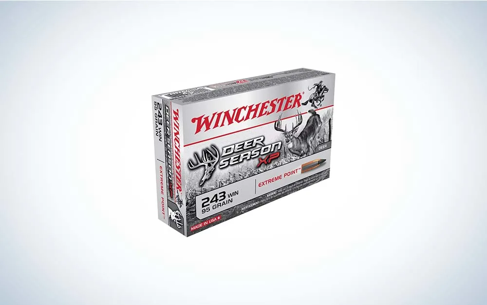 .243 Winchester rifle ammo, best varmint cartridges