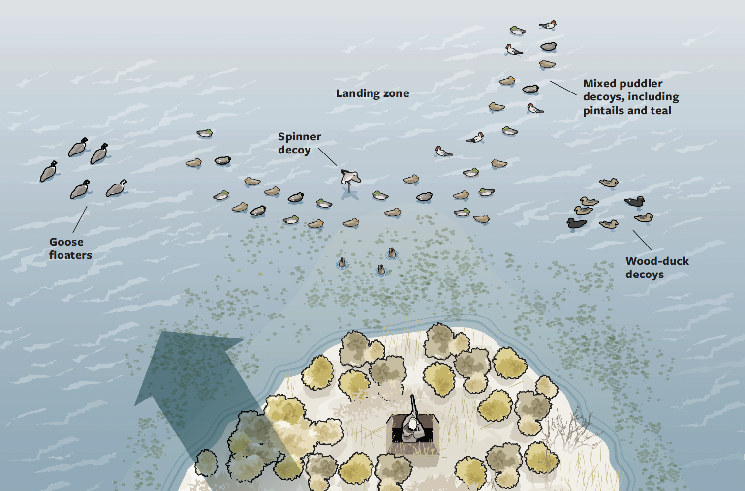 An illustration of how to hunt ducks in the midwest