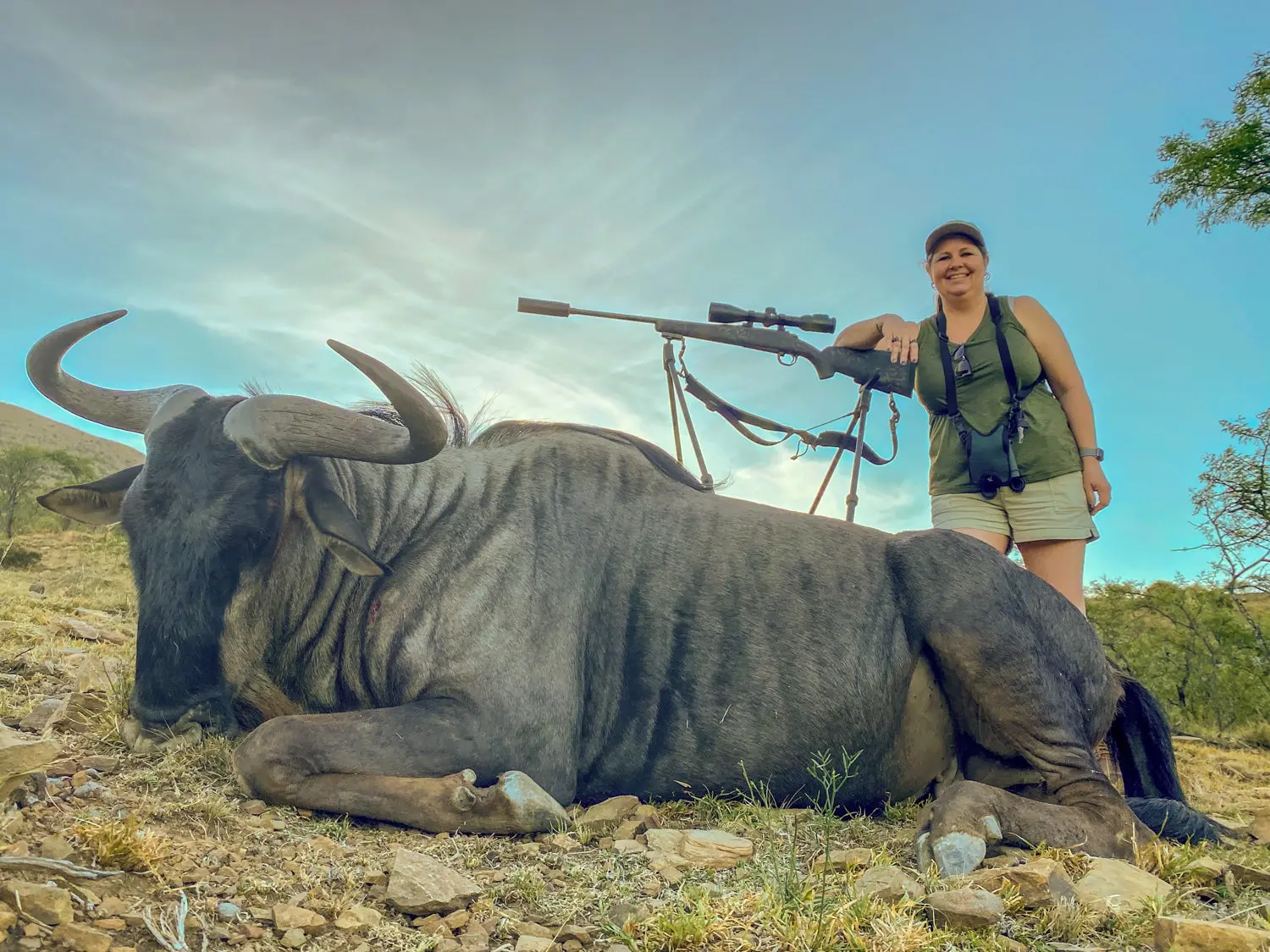 A woman stands over a blue wildebeest taken with a rifle and shooting sticks in Africa