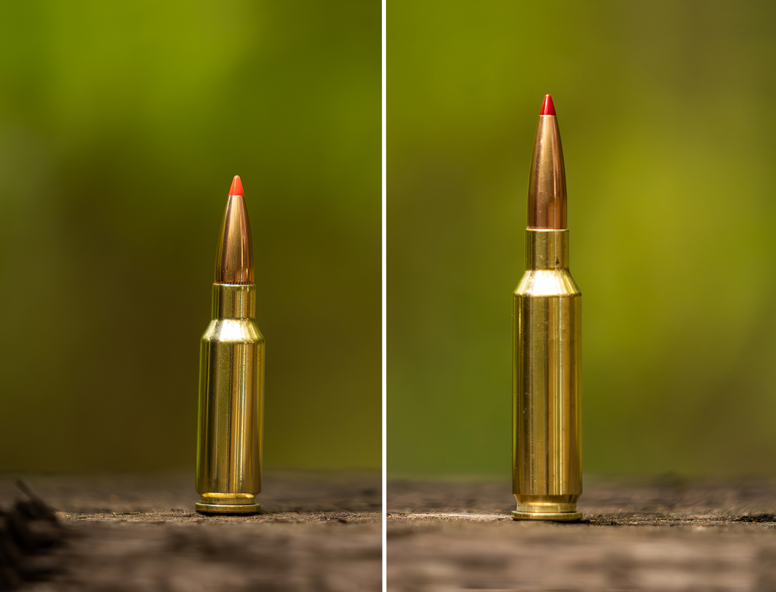 6.5 Grendel vs 6.5 Creedmoor: both cartridges standing on a wooden plank.
