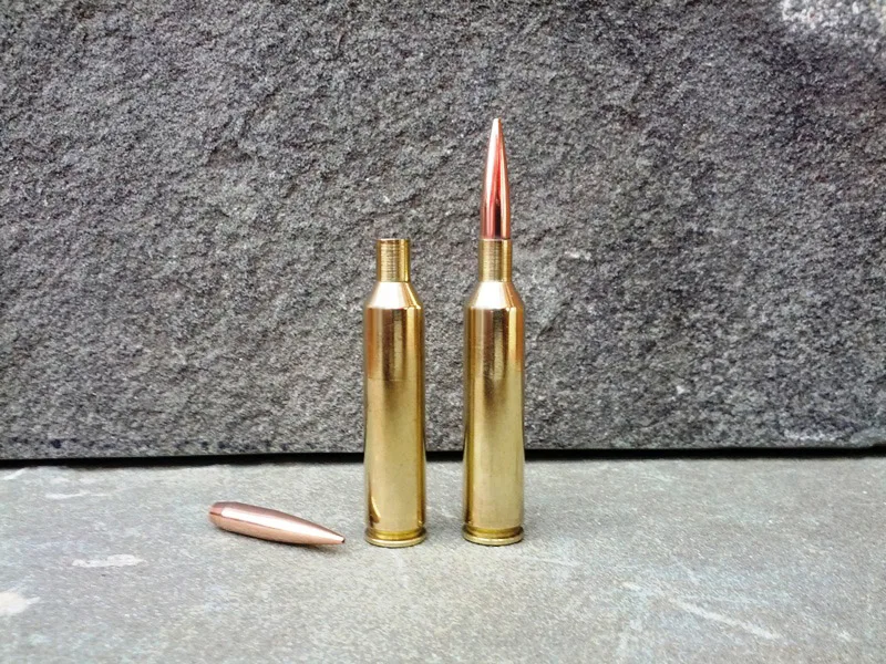 224 Clark ammo