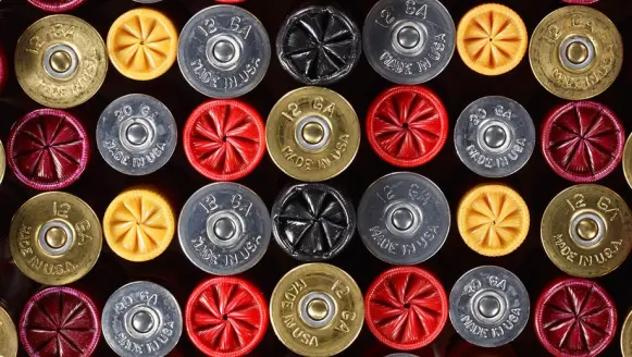 httpswww-fieldandstream-comsitesfieldandstream-comfilesimport2014importimage2013photo38356shotshells3-jpg