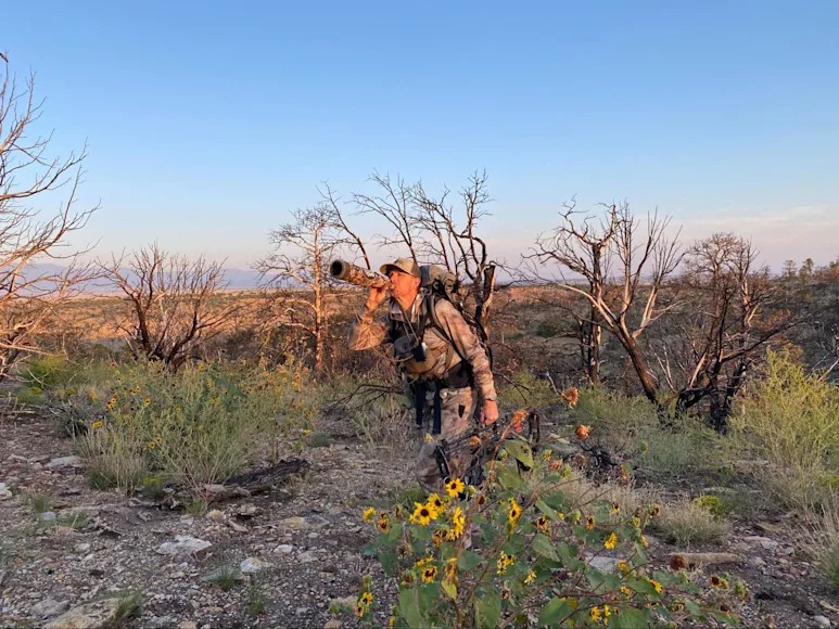best-elk-calls