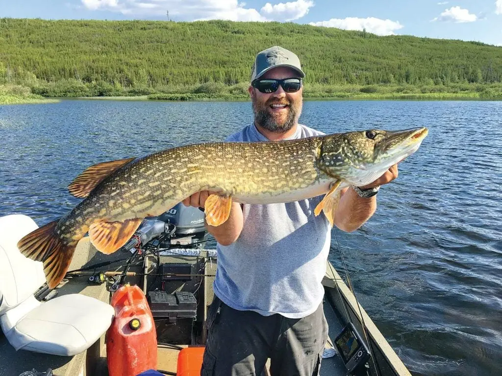 An angler wearing sunglasses and a baseball cap holds up a large pike while standing on a fishing boat in the middle of a lake.