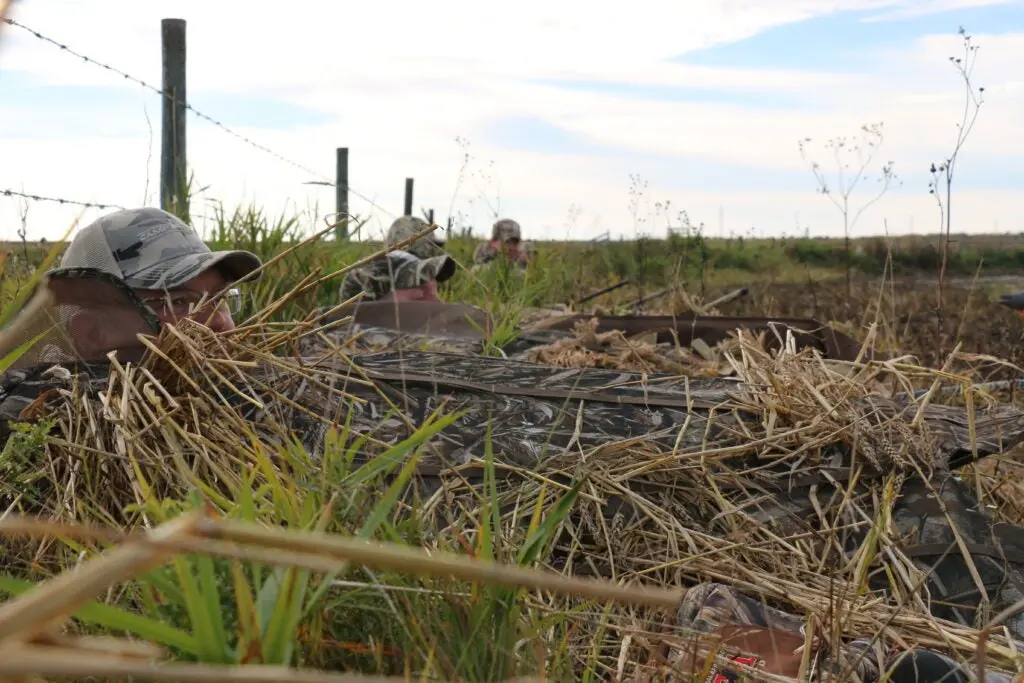 hunters wait for ducks in a field