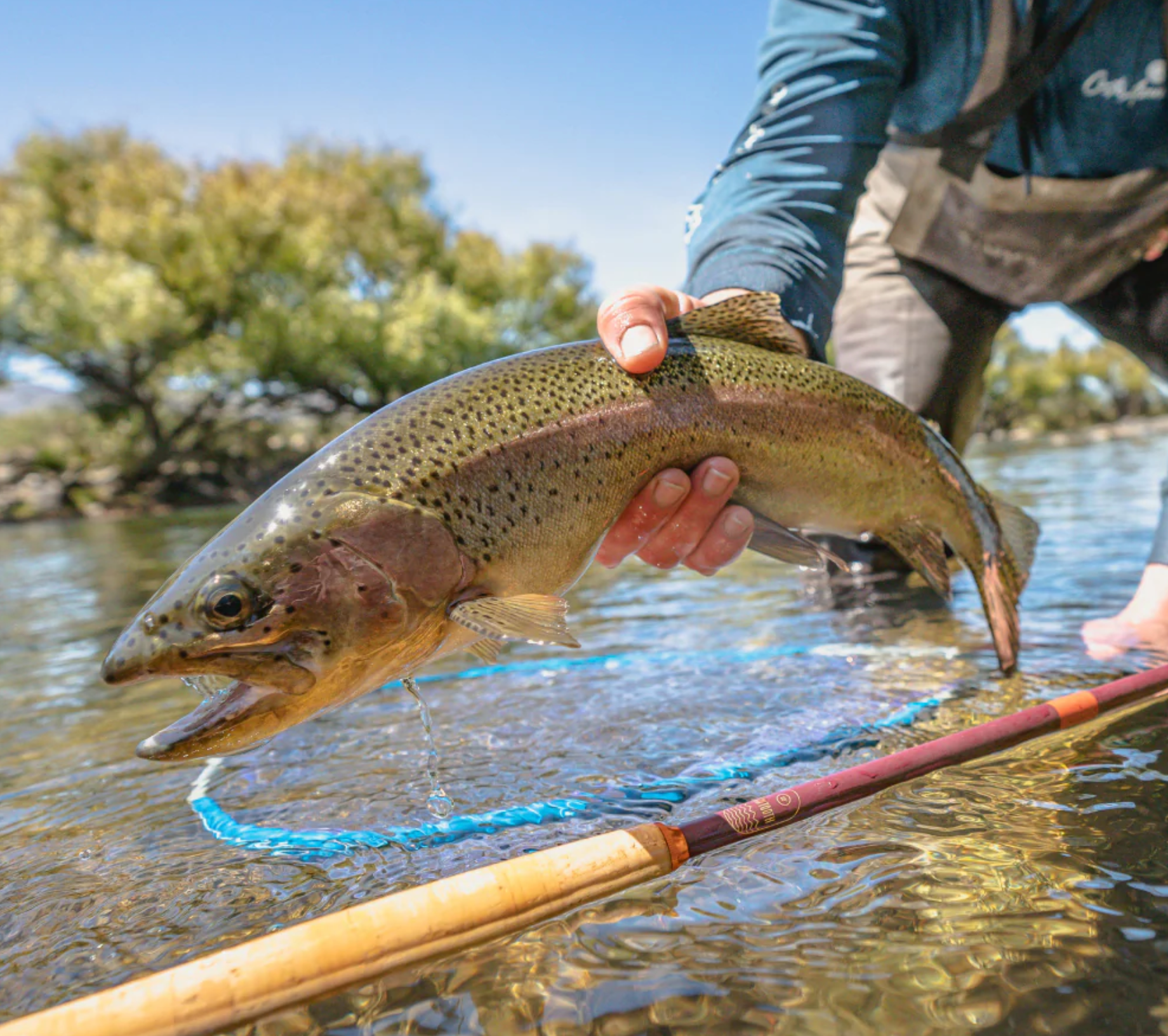 Fishing Rods photo