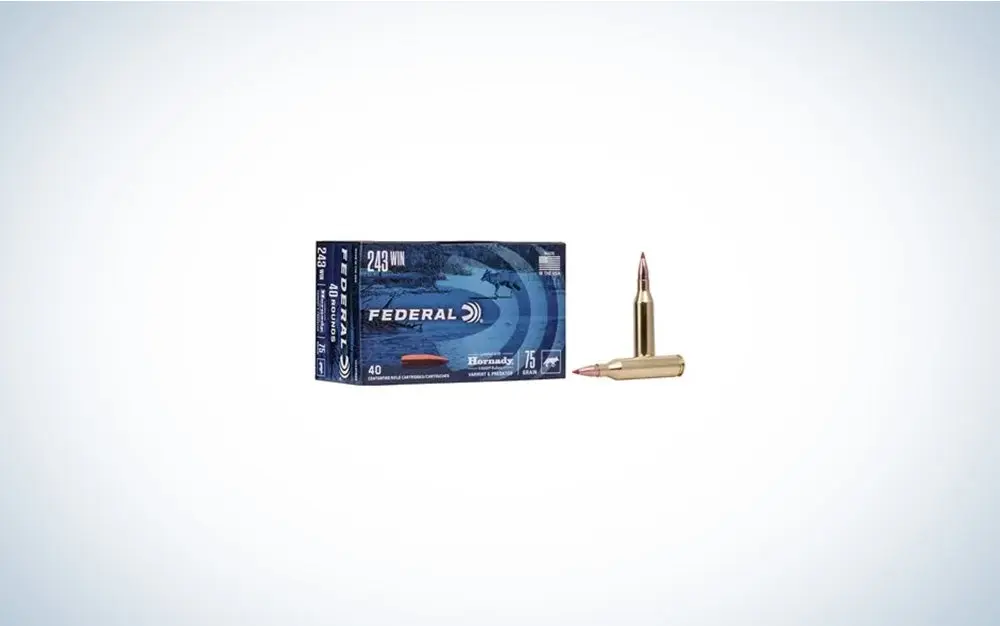 Federal Hornady V-Max .243 Winchester, 75-grain