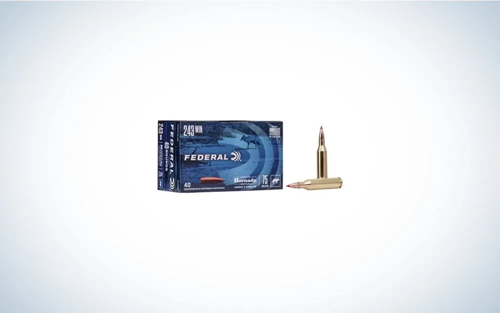 Federal Hornady V-Max .243 Winchester, 75-grain