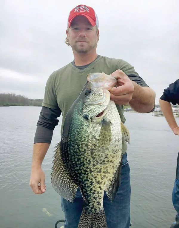 A huge Illinois hybrid crappie.