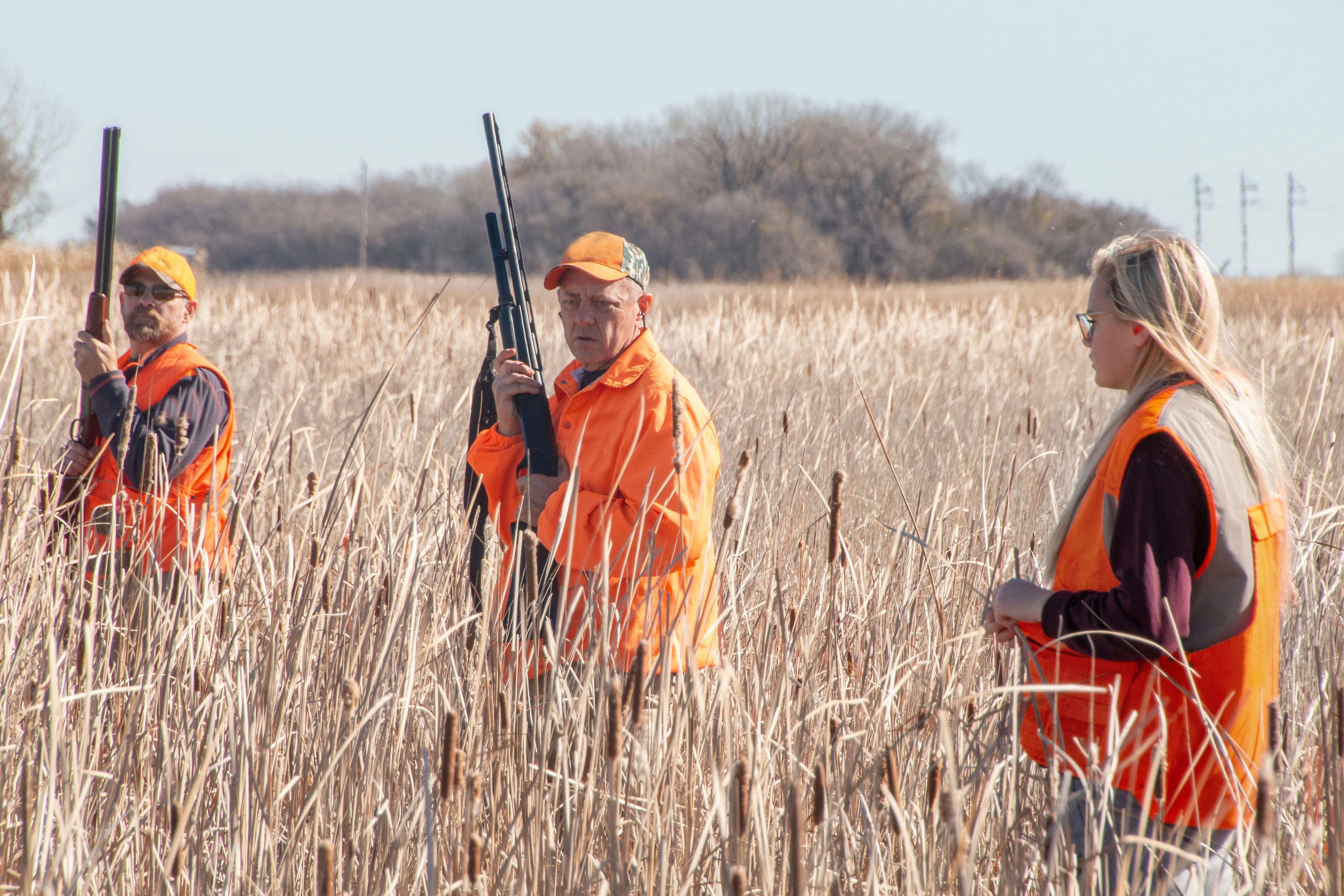 Three hunters walking a field with guns in hand